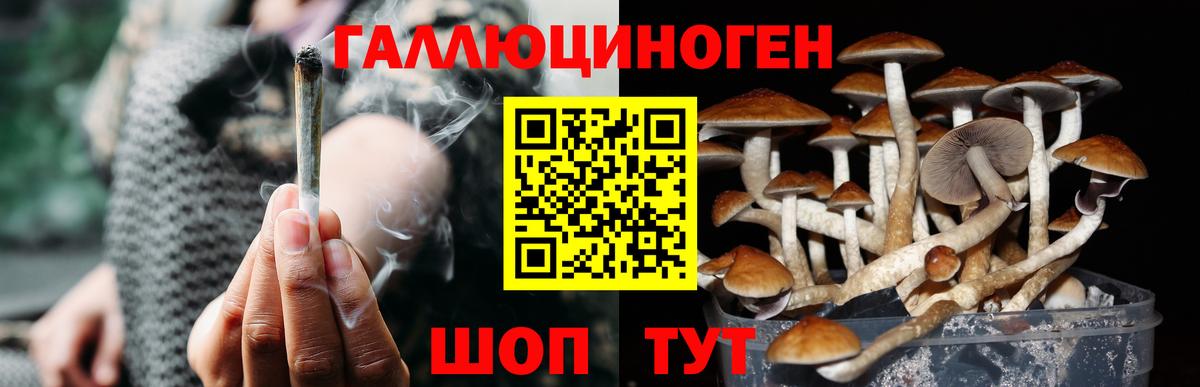 Псилоцибиновые грибы прущие грибы Вятские Поляны